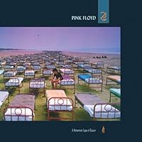 Momentary Lapse of Reason