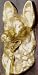 Brass German Shepherd Door Knocker