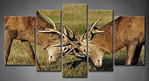 Flora Woods Painting 5 Panels Two Young Red Deer Fighting And Sparring For A Mate Grassland Painting Print On Canvas Animal Picture Modern Painting