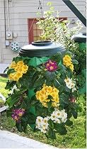 Plug 'N Gro Hanging Planter