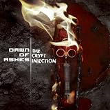 Dawn of Ashes｜Crypt Injection