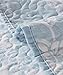 C.CTN 3pc Reversible Printed Quilt Set,Queen Size,Light Blue