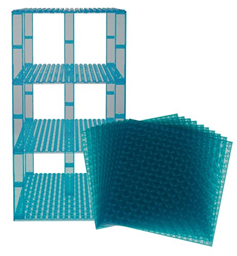 Premium Clear Turquoise Stackable Base Plates - 10 Pack 6