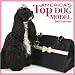 America's Top Dog Model 2009 Wall Calendar