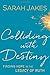 Colliding With Destiny: Finding Hope in the Legacy of Ruth