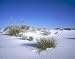 Drifting in the Nebraska Sandhills - Forbidding 16x20 Photographic Print by Carol M. Highsmith