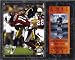 Troy Polamalu Pittsburgh Steelers 12x15 Super Bowl XLIII Plaque with Replica Ticket