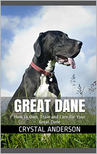 Great Dane: How to Own, Train and Care for Your Great Dane