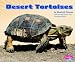 Desert Tortoises (Pebble Plus: Reptiles)