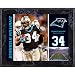 Mounted Memories Carolina Panthers DeAngelo Williams 8x10 Color Plaque
