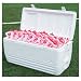 Igloo 150 Quart
                           Ice Chest