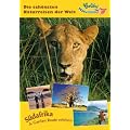 S�dafrika & Garden Route erleben