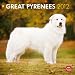 Great Pyrenees 2012 Square 12X12 Wall Calendar (Multilingual Edition)