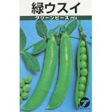実取エンドウ 種 【 緑ウスイ 】 種子 小袋（約20ml）