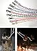 Dog leashs: Glo and Go Braided, Reflective Pet Leashes