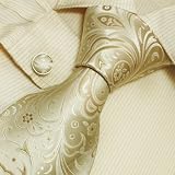 S4019 NEW Designer Hand Made Khaki Paisleys Pattern Neck Tie Cufflinks with Presentation Box Ties for Men Jacquard Woven Pure Silk Mens Neck Tie and Cuff Links Gift Set