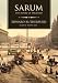 Sarum: The Novel of England (CD-ROM)
