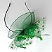 Coolwife Womens Fascinator Veil Flower Cocktail Tea Party Headwear (Green)
