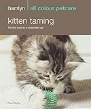 Kitten taming : the fast route to a controllable cat