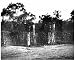 10x8 Photograph (25x20cm) Jangseung, wooden totem poles, Korea, 1900. by Heritage-Images
