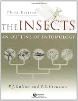 The Insects