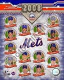 New York Mets 2008 Team Composite 8x10 Photo