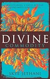The Divine Commodity: Discovering a Faith Beyond Consumer Christianity