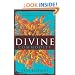 The Divine Commodity: Discovering a Faith Beyond Consumer Christianity