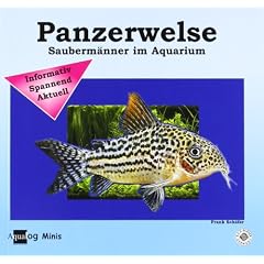Mein Panzerwels