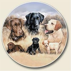 Labradors, When Rascals Become Legends Auto Coaster, Single Coaster for Your Car
