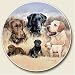 Labradors, When Rascals Become Legends Auto Coaster, Single Coaster for Your Car