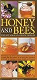 Honey : a modern healer