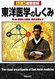 徹底図解 東洋医学のしくみ―気・血・津液から鍼灸、漢方治療まで