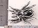 Angel Jewelry Women's Crystal Halloween Spider Pin Brooch Pendants
