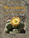 Image de Mesembs - mehr als nur Lithops