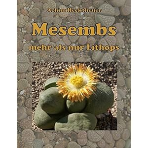 Mesembs - mehr als nur Lithops