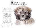 Havanese "Human Trainer" Mouse Pad Dog Mousepad