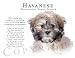 Havanese Human Trainer Mouse Pad Dog Mousepad