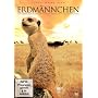 Erdm�nnchen 