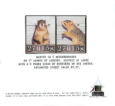 Arundale Mug Shot Poster