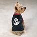 Dog Apparel