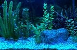 LED AQUARIUM STRIP LIGHTING SET in BLUE ** FULLY WATERPROOF KIT IDEAL FOR TRANSFORMING AQUARIUMS, FISH TANKS, PONDS, ETC **