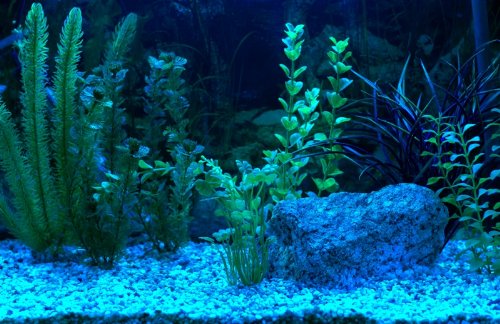 LED AQUARIUM STRIP LIGHTING SET in BLUE ** FULLY 