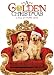 honest Christmas