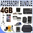 BigVALUEInc Accessory Saver 4GB FH100 Replacement Battery Filter Kit Tele/Wide Lens Bundle for Sony Handycam HDD 37mm Hard Disk Drive Camcorders + MORE!
