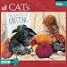 Cats: Knitting Principles