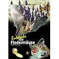 Entdecke die Flederm�use