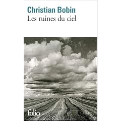 Les ruines du ciel