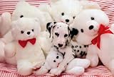 Dalmation Puppy (With Teddy Bears) White Wood-Mounted Art Poster Print - 22 X 32