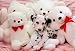 Dalmation Puppy (With Teddy Bears) Gold Wood-Mounted Art Poster Print - 22 X 32